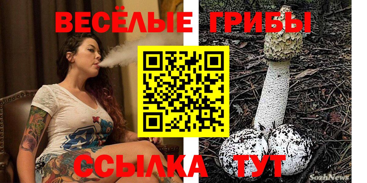 Донской  Псилоцибиновые грибы MAGIC MUSHROOMS  Вход с VPN 